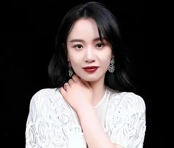 剧集选集与合辑导览